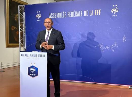 La Fédération Française de Football : histoire, organisation et rôle dans le football national